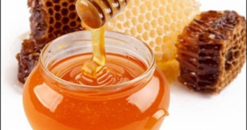 Mật ong nguyên chất có tác dụng như một chất kháng sinh