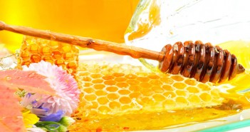 Sự kỳ diệu của mật ong nguyên chất