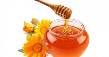 Mật ong nguyên chất có tác dụng bổ khí, tăng lực, rất tốt cho sĩ tử trong khi ôn thi.